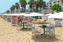 Spiaggia per cani a Riccione
